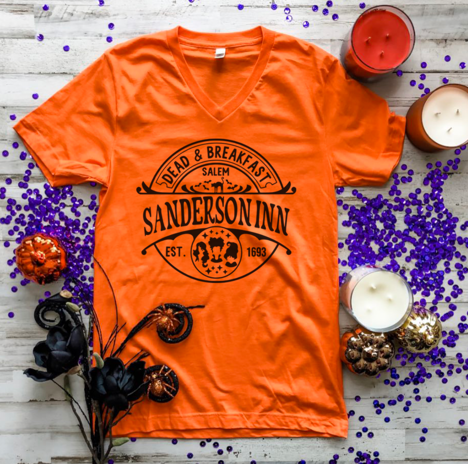 Sanderson Inn (Orange V Neck Tee)